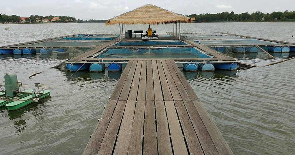 海上釣り堀とは 釣れる仕掛けと楽しみ方など攻略法のコツをご紹介 釣り情報のインフォ