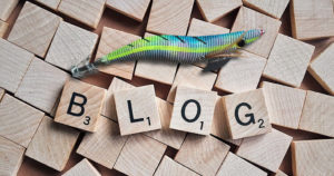 エギングブログはある情報を注目して読むと釣果がアップしやすい理由