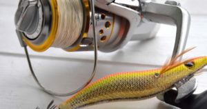 エギングラインに求められる条件とおすすめの選び方