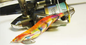 エギングタックルで初心者が失敗しないための選び方