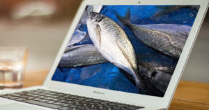 アジングブログをある視点で読んでいると釣果がアップする理由