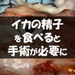 イカの精子に要注意!生食すると口内の激痛と共に手術が必要