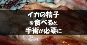 イカの精子に要注意！生食すると口内の激痛と共に手術が必要