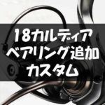 18カルディアのベアリング追加カスタムの方法の手順について