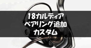 18カルディアのベアリング追加カスタムの方法の手順について