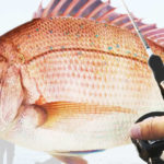 鯛サビキロッドのおすすめの長さと竿の選び方について