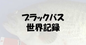 ブラックバスの世界記録保持者は日本人だった!その賞金額が