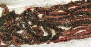 塩イソメの作り方と保存方法！釣果が良くなる付け方と使い方