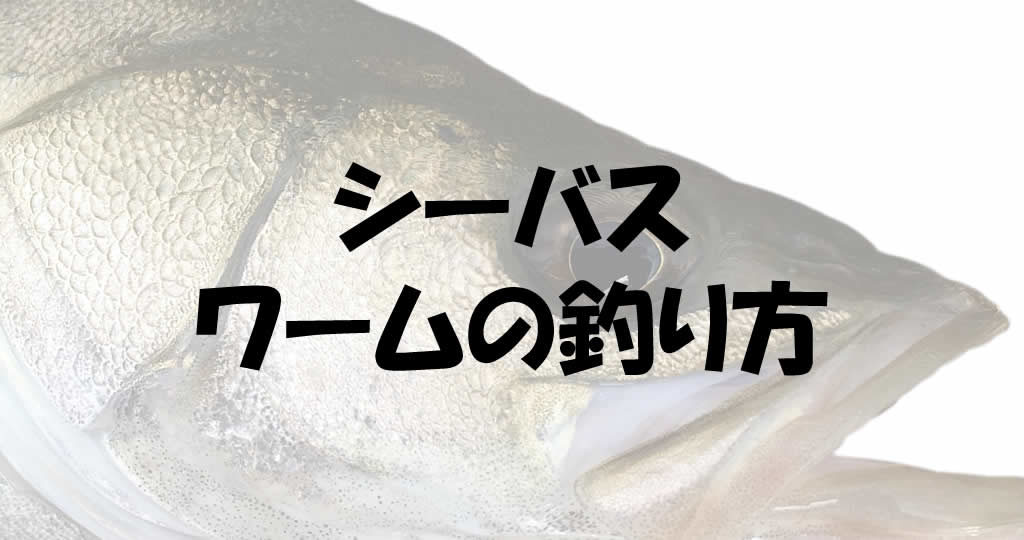 シーバスはワームである釣り方をすると釣果が狙える仕掛けだ 釣り情報のインフォ