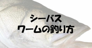 シーバスはワームである釣り方をすると釣果が狙える仕掛けだ