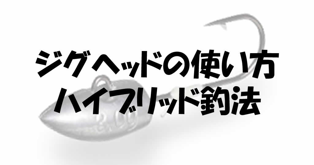 ジグヘッドの使い方が斬新 ハイブリッド釣法が爆釣する理由 釣り情報のインフォ