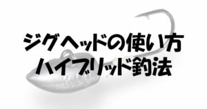 ジグヘッドの使い方が斬新!ハイブリッド釣法が爆釣する理由