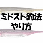 ミドストとは?やり方やロッド操作とワームの選び方について