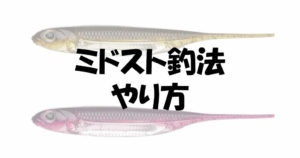 ミドストとは?やり方やロッド操作とワームの選び方について