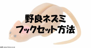 野良ネズミのフックセット方法とフックサイズを解説してみた