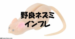 野良ネズミはティムコの爆釣ルアー！タックルとインプレ紹介