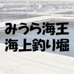 みうら海王の攻略と口コミ!タナや餌のお勧めと料金について