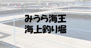みうら海王の攻略と口コミ!タナや餌のお勧めと料金について