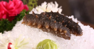 ナマコの栄養素と効能が凄い！でも食べ過ぎ注意