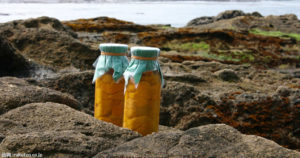 塩水ウニ通販の牛乳瓶が岩手からバカ売れ！秘密のケンミンSHOW効果