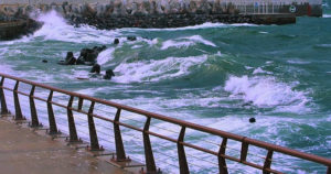 甲子園浜2丁目オークション会場の台風被害と釣り場護岸崩壊