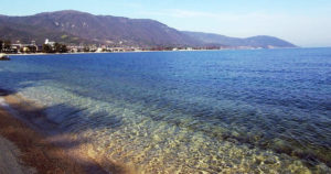 ワカサギを琵琶湖で網すくいが出来る場所とポイントや条件