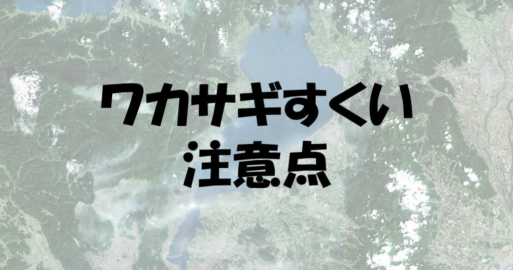 ワカサギを琵琶湖で網すくいが出来る場所とポイントや条件 釣り情報のインフォ