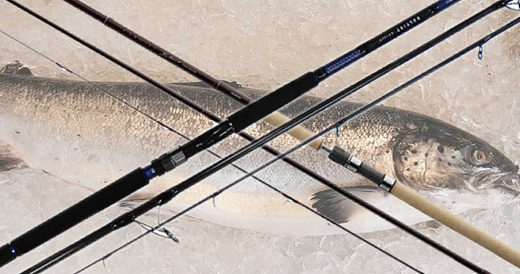 アキアジ鮭ロッドおすすめはダイワとシマノ 使いやすい長さ 釣り情報のインフォ