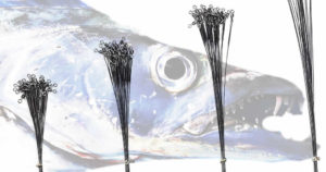 タチウオワインドのリーダーの太さと長さの違いによる釣果差