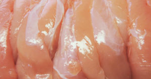 イカ釣りの鳥ささみ塩漬けエサの作り方と塩締めが必要な理由