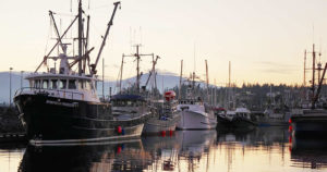 山陰イカ釣り遊漁船の一覧表を作ってみた！釣り船の釣果情報