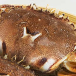 ヒラツメガニ食べ方の手順と下処理の方法で美味しさが倍増