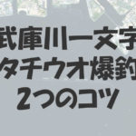 武庫川一文字でタチウオを爆釣させるための2つのコツ!