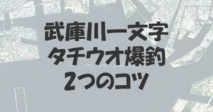 武庫川一文字でタチウオを爆釣させるための2つのコツ！