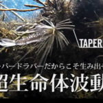 レイドジャパンのエグダマ タイプレベル発売日と通販予約入荷