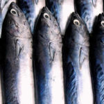 爆釣とはどういった釣果状況か超分かりやすく説明してみた!