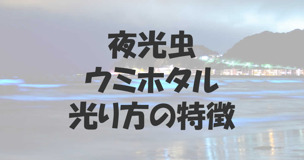 夜光虫とウミホタルの違いと光る秘密 そして光り方の特徴 釣り情報のインフォ