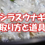 シラスウナギの取り方と道具